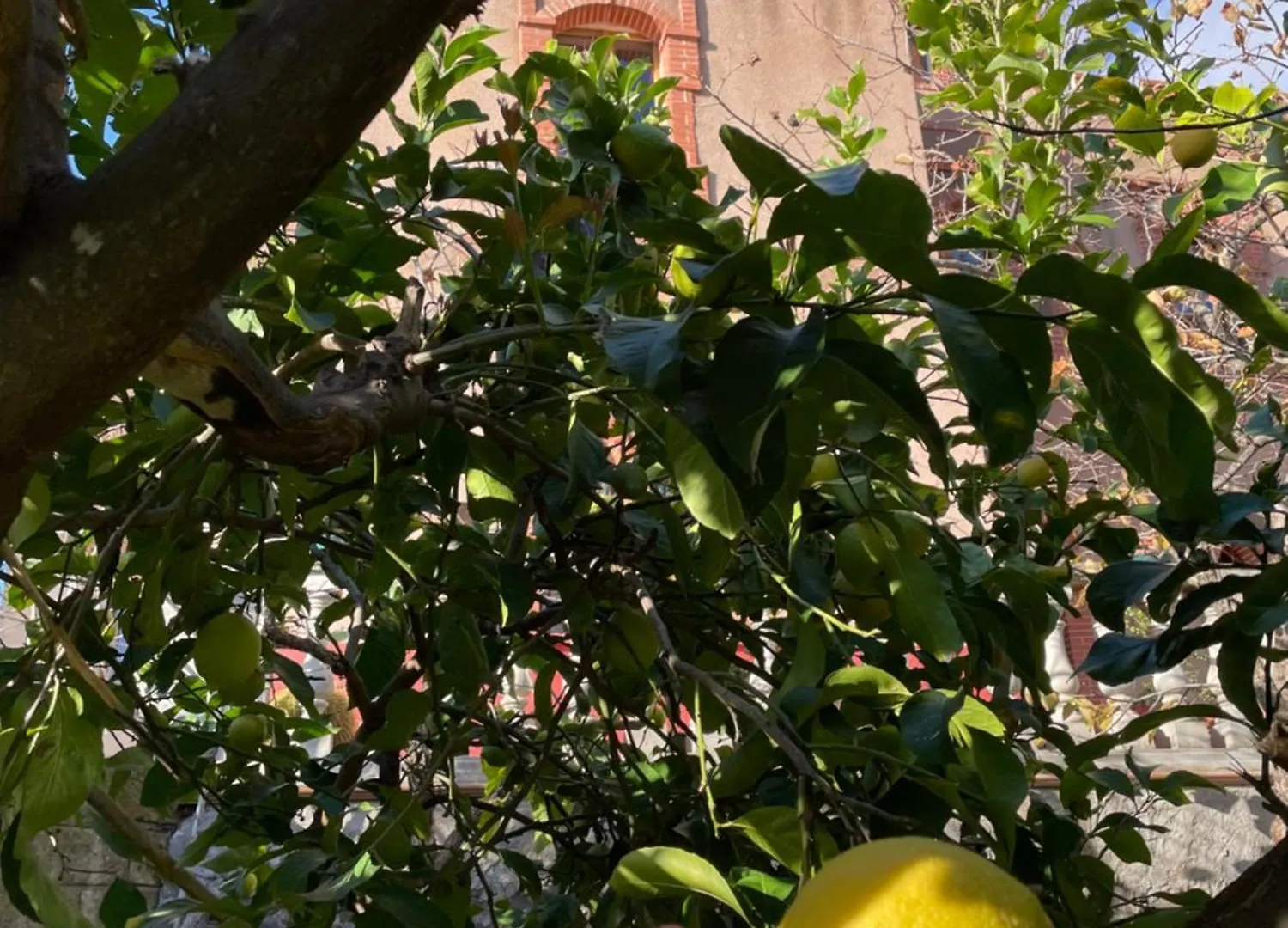 Il Castello Bed & Breakfast Seneghe